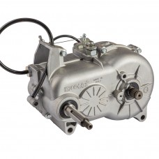Cambio Aixam Minauto da 2010