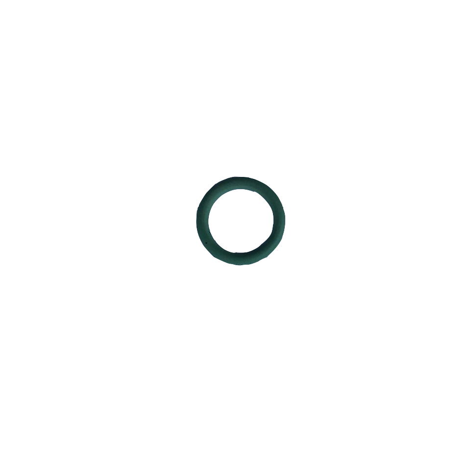 joint torique rampe go diamètre 9.25mm