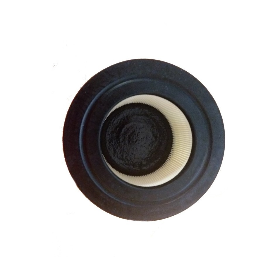 Filtre A Air Mitsubishi