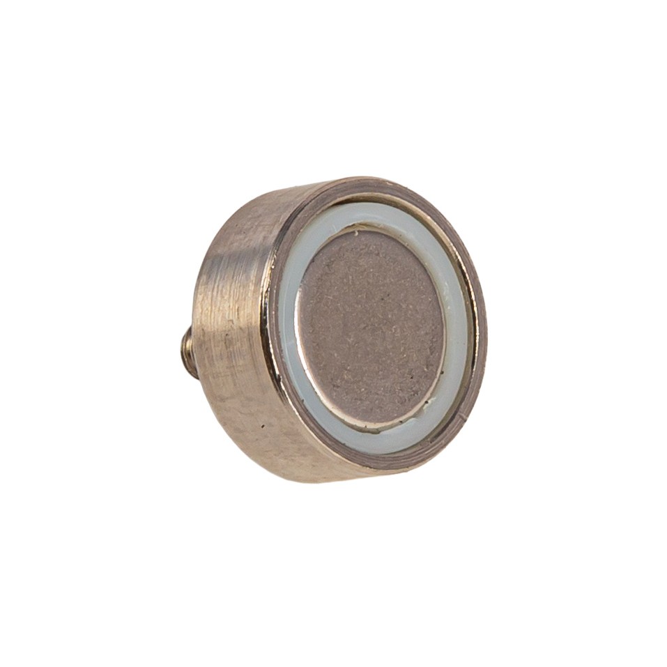 Aimant Frein de Parc Ligier Staby 1 ou Pulse 3