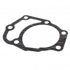 Giunto della pompa...