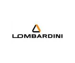 Filtre Lombardini DCI voiture sans permis