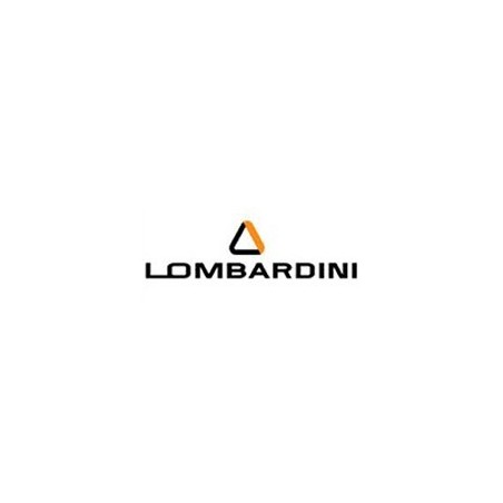 Filtration Lombardini focs