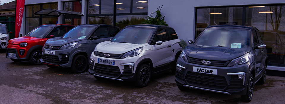 Voiture sans permis 4 places