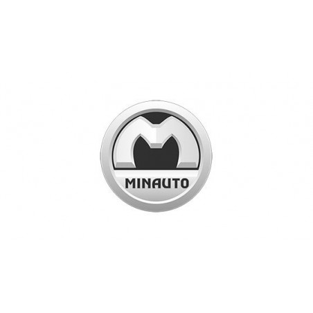 Minauto