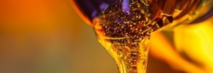 Scegliere bene l’olio per la microcar