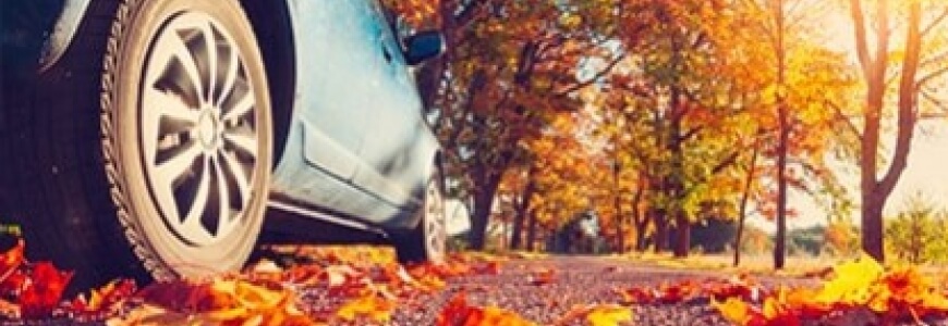 I buoni consigli autunnali per la manutenzione della microcar