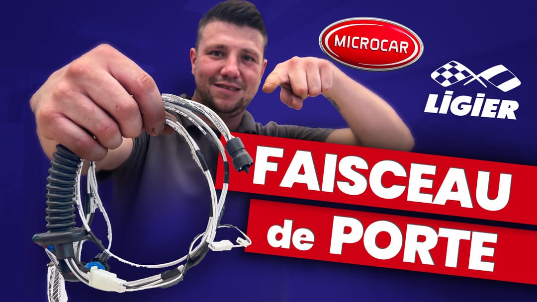 #126 - changer un FAISCEAU de PORTE sur une Ligier/Microcar ?